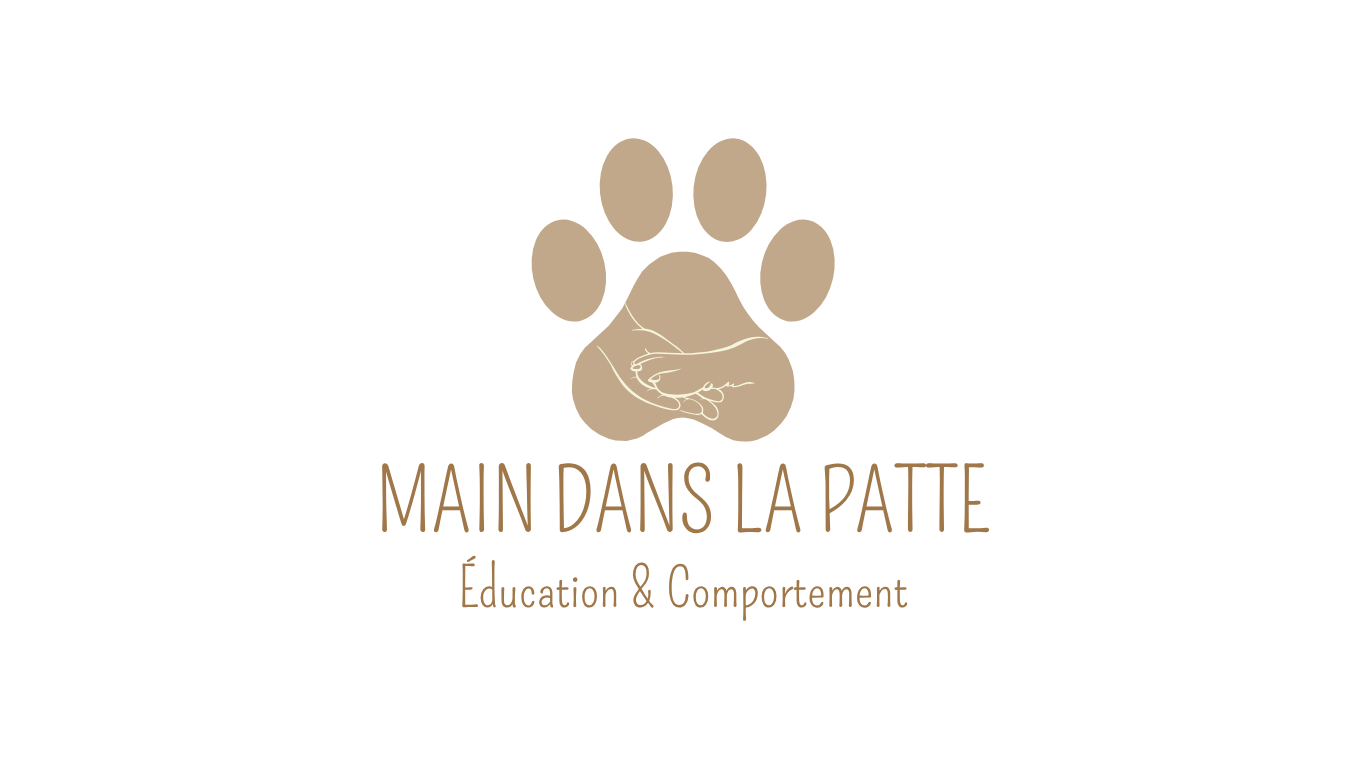 Logo de Main dans la Patte, éducatrice et comportementaliste canin à Metz, Marly et communes voisines.